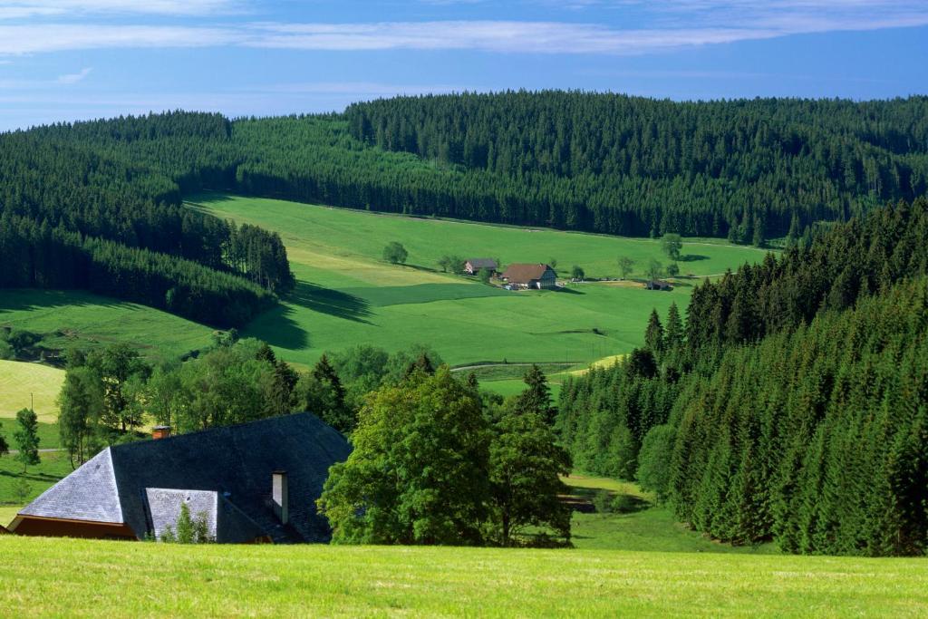 Gaestehaus Waldeck Титизее-Нойштадт Экстерьер фото